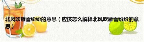 吹北風意思|北風 的意思、解釋、用法、例句